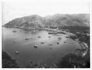 Panoramic view of Avalon Harbor from the north, showing boats in the harbor, Santa Catalina Island, ca.1900