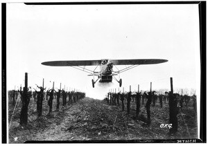 View of an airplane dusting crops, May 1932