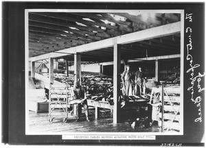 Recieving tables at the Curtis Corporation, showing workers loading Albacore tuna