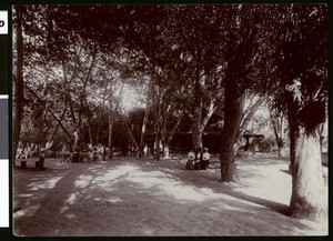 City Park in San Bernardino, showing three women on a bench, ca.1900