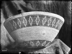 Indian basket displayed in front of a cloth backdrop, ca.1900