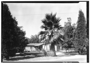 Ranch home of a Walnut Grower, near Puente, October, 1927