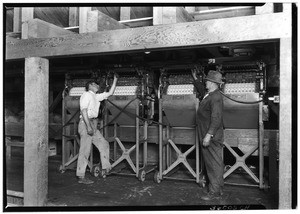 Men attending to machines at a La Puente Valley Walnut Growers' Association packing house, 1927