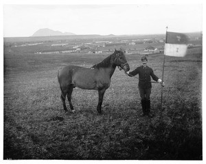 Cavalry soldier holding in his right hand the reins of "Comanche", Custer's horse, 1890