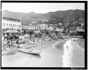 View of Avalon beach, showing business buildings further inland