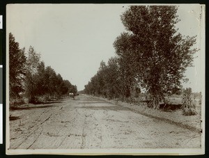 Wagon on a county road in Calexico, ca.1910