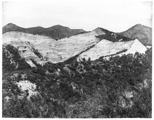 Oil prospects near Piru, California, ca.1940