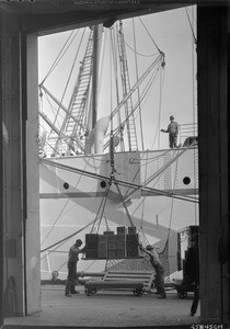 Hawaiian pineapples being unloaded from the freighter Manolo at Los Angeles Harbor, March 5, 1931