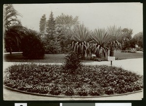 City Park in Santa Ana, ca.1905