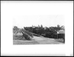 Pasadena looking east from Salt Lake Railroad Depot, ca.1887