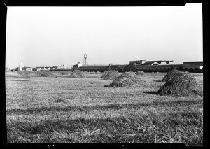 View of hay stacks in a field near a factory