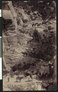 Horseback riders on trail to the top of Nevada Falls in Yosemite National Park, ca.1920