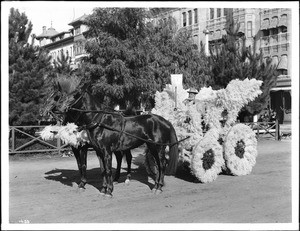 Horse-drawn float covered with pampas grass in the Pasadena Tournament of Roses parade, ca.1903