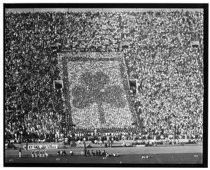 Football stadium display with cards