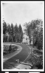 View of Radio Park Auto Camp, located on Highway 99 north of San Francisco, ca.1923