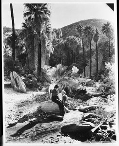 Palm Canyon, showing people sitting on rocks and walking along paths, May 1933