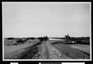 Teams of horses preparing farm land next to a river in Mexico south of Calexico, ca.1910