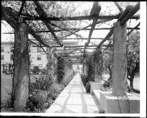 View from the under the pergola at the Maryland Hotel, Colorado Street, Pasadena, ca.1910