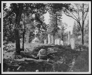 Headstones in a cemetery at Weaverville, 1936