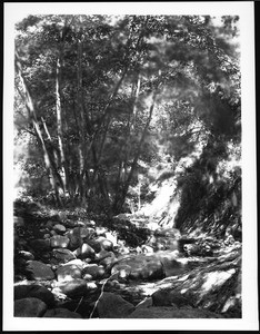 Below the Falls in the Arroyo Seco, near Pasadena, ca.1900