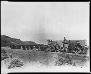 Borax Smith's 20-mule team hauling borax across the desert, Death Valley