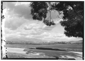 View of Covina, "vista of the valley", taken from the end of Citrus Avenue, Covina, January 1929