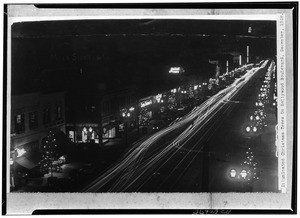 Illuminated Christmas trees on Hollywood Boulevard, December, 1928