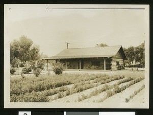 The Log Cabin, Hotel Casa Loma, Redlands, California, ca.1910