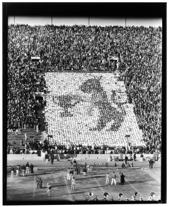 Football stadium display with cards