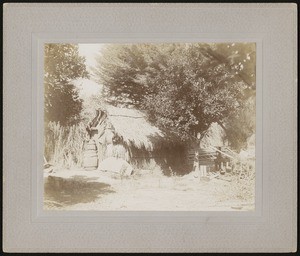 Exterior view of a shack made out of reeds