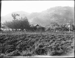 Walapai Indian school teacher's house, Hackbury, Arizona, ca.1900