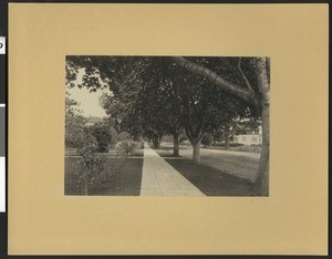 View of McDonald Avenue in Santa Rosa