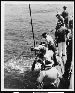 Men fishing on a boat while watching a yellowtail being gaffed, near San Diego, ca.1930