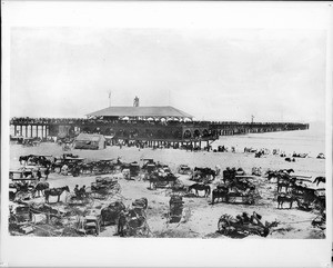 A crowded beach scene at Long Beach Pier, ca.1901