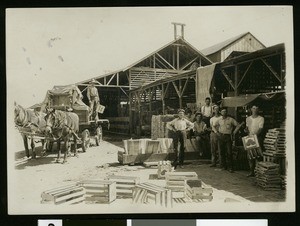 Workers making crates for canteloupe in El Centro, ca.1910