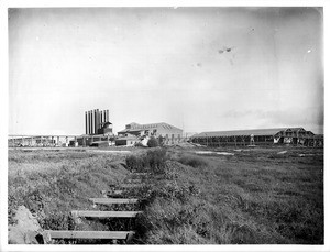 Los Alamitos Sugar Factory. Sugar beet factory, Los Alamitos, California, ca.1910