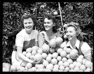 Portrait of three women behind a large pile of oranges