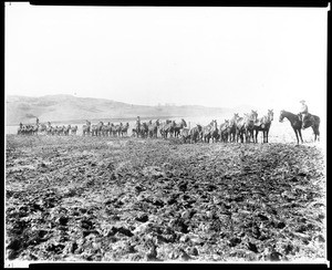 Several teams of horses plowing in the San Fernando Valley, ca.1880-1889