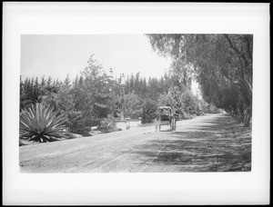 Magnolia Avenue, Riverside, California, ca.1890