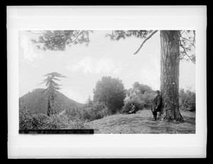 Summit of Wilson Peak, California, ca.1900