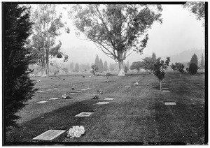 View of Forest Lawn cemetery grounds, November, 1929