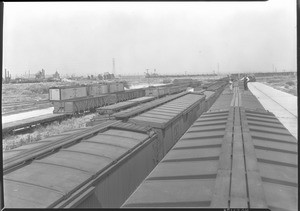 Boxcars in an unidentified railroad yard