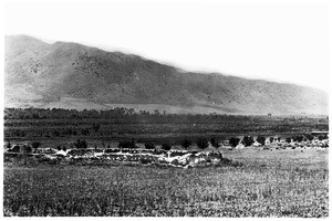 Graveyard where Alessandro left Ramona while he sold his violin, ca.1887