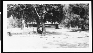 A driveway leading to a dance and amusement hall at Camp Rincon, Azusa, ca.1930