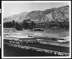 A starting gate at Santa Anita Racetrack, ca.1950