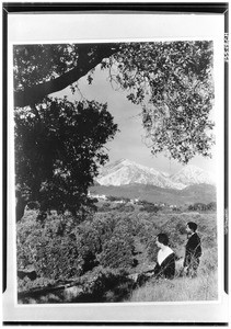 Orange groves with snowcapped mountains, showing two people, May, 1933