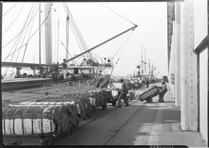 Stevedores unloading cotton into a warehouse at Los Angeles Harbor