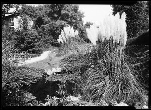 View of a grassy area at the Huntington Hotel in Pasadena