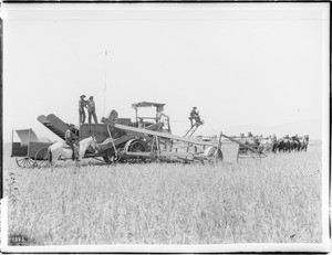 Combine harvester on a Van Nuys Ranch, ca.1890-1900