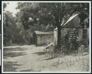 Unidentified dirt road in Jacksonville, ca.1930